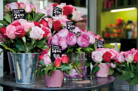 Edikio example labels and retail displays; display holders are separate accessories
