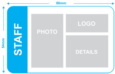 Basic-Layout